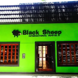 Hostel Black Sheep International, Mendoza